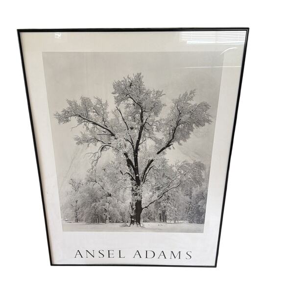 Ansel Adams “Oak Tree Snowstorm” Yosemite National Park 1984 – Large Print